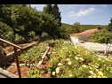 Házak a pihenésre Paulo1 - peacefull and charming H(2+1) Öböl Rogacic (Vis) - Vis sziget  - Horvátország  - kert (ház és környéke)