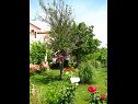 Apartmanok Nika - nice garden: A1(2), A2(4+1), A3(6), A4(2) Nin - Riviera Zadar  - kert (ház és környéke)