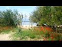 Apartmanok Dragi - with pool: A2(4), A3(4), A4(4), A6(2) Nin - Riviera Zadar  - strand