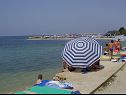 Apartmanok Marietta - sea view: A1(2+2), A2(2+2) Rtina - Riviera Zadar  - strand