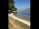 Apartmanok Andy - only 50 m from beach: A1(3+1), A2(2+1), SA1(2) Sukosan - Riviera Zadar  - strand