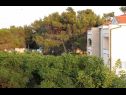 Apartmanok VINK - 80 m from beach A2(4), A3(4), A4(4) Vir - Riviera Zadar  - Apartman - A4(4): kilátás (ház és környéke)
