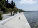 Apartmanok Franka - 70 m from sea: A1(6) Zadar - Riviera Zadar  - részlet