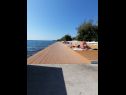 Apartmanok Petin - 5m from the sea: A1(2+2), A2(2+2) Zadar - Riviera Zadar  - strand