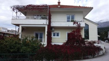 Apartmanok Maja - 100 from the beach: A1- Galebovo krilo (2+2), A2-Uzorita (2+2), SA1(2) Podgora - Riviera Makarska 
