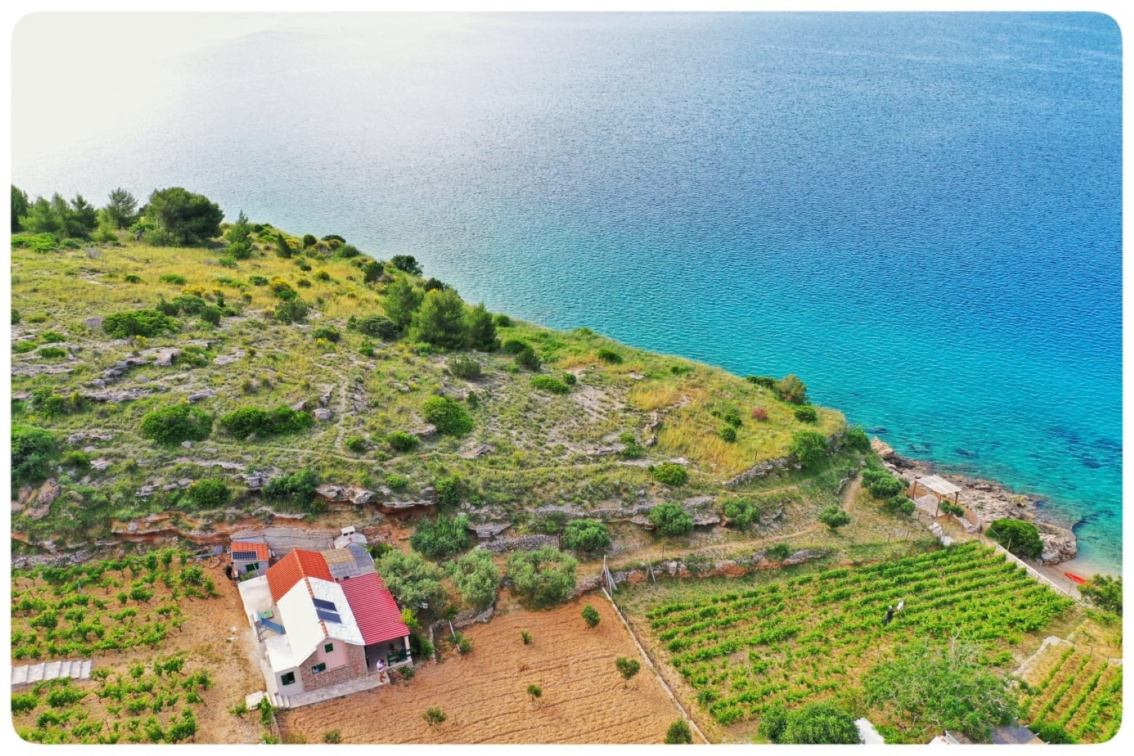 Házak a pihenésre Smokovlje - sea view and vineyard H(4) Bol - Brac sziget  - Horvátország 